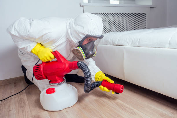 Reliable Beaverton, MI Pest Control Solutions